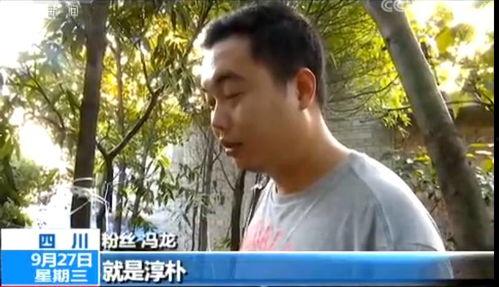 顾城前妻爆料视频播放,揭秘诗人背后的真相  第2张