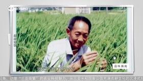 海南卫视爆料视频大全集,揭秘热点事件背后的真相 第3张 海南卫视爆料视频大全集,揭秘热点事件背后的真相 第3张